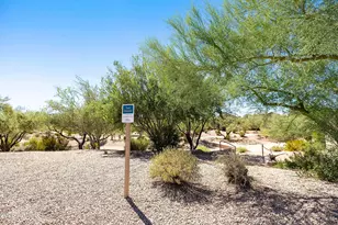 4704 E Weaver Rd, Phoenix, AZ 85050 - Photo 25