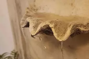 4063 E Windsor Dr, Gilbert, AZ 85296 - Photo 9