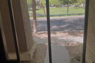 1377 S Chaparral Blvd, Gilbert, AZ 85296 - Photo 3