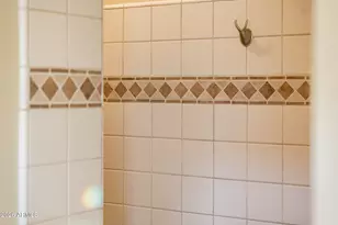 22014 N San Ramon Dr, Sun City West, AZ 85375 - Photo 93