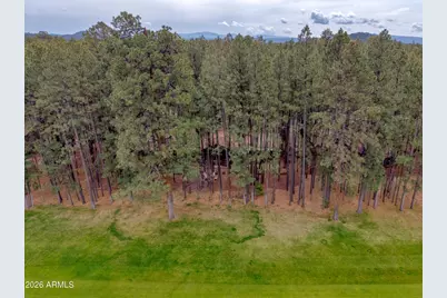 7414 Geronimo Road, Pinetop, AZ 85935 - Photo 65
