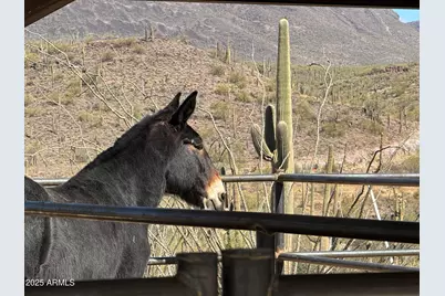 40445 N 32nd Street, Cave Creek, AZ 85331 - Photo 55