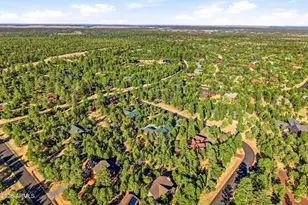 3408 Ponderosa Loop, Heber, AZ 85928 - Photo 51