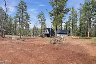 1725 Turkey Mountain Rd, Happy Jack, AZ 86024 - Photo 17