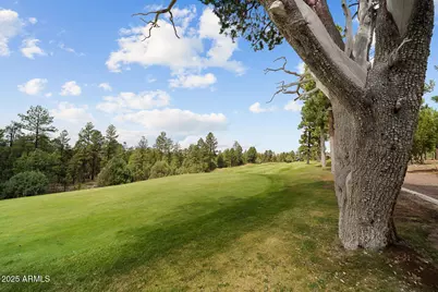 200 N Sorrel Court, Show Low, AZ 85901 - Photo 37