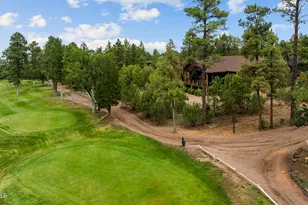 200 N Sorrel Ct, Show Low, AZ 85901 - Photo 45