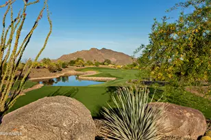 41595 N 110th Way, Scottsdale, AZ 85262 - Photo 75