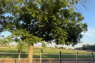 5502 N 105th Ln, Glendale, AZ 85307 - Photo 29