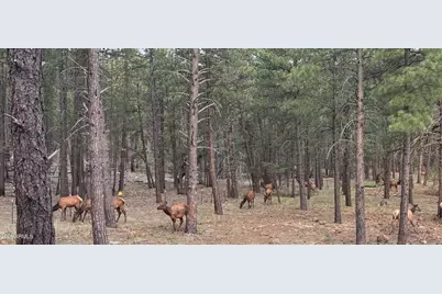 252 W Dawn Circle, Munds Park, AZ 86017 - Photo 69