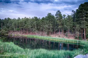 2540 W Waters Edge Ln, Lakeside, AZ 85929 - Photo 41