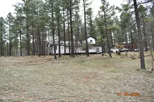 2194 Deer Ridge Dr, Happy Jack, AZ 86024 - Photo 33