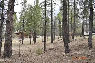 2194 Deer Ridge Drive, Happy Jack, AZ 86024 - Photo 37