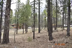 2194 Deer Ridge Dr, Happy Jack, AZ 86024 - Photo 37