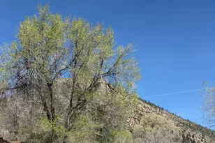 4459 N Bonner St, Flagstaff, AZ 86004 - Photo 19