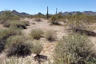 0 S La Paz Rd, Maricopa, AZ 85139 - Photo 1