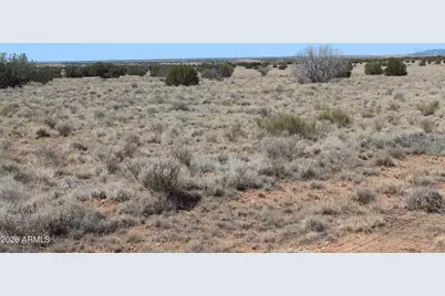 5999 Mesa View Lot 149 Drive #149, Heber, AZ 85928 - Photo 3