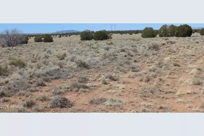 5999 Mesa View Lot 149 Drive #149, Heber, AZ 85928 - Photo 5