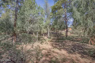 501 N Chaparral Pines Dr, Payson, AZ 85541 - Photo 57