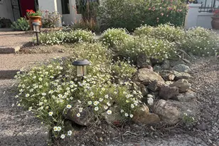 1121 W Aster Dr, Phoenix, AZ 85029 - Photo 85