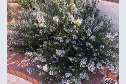 1121 W Aster Drive, Phoenix, AZ 85029 - Photo 91