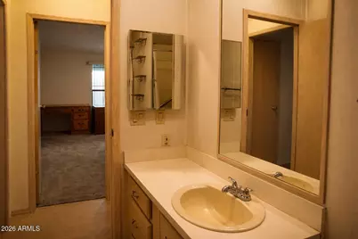 46 S Amulet Avenue, Mesa, AZ 85208 - Photo 9