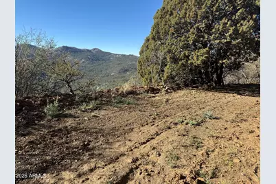 22560 S Gladiator Mine Road #-, Crown King, AZ 86343 - Photo 5