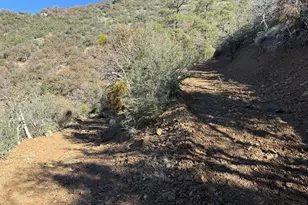 22560 S Gladiator Mine Rd, Crown King, AZ 86343 - Photo 1