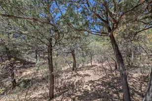 4440 N Pine Creek Canyon Road N, Pine, AZ 85544 - Photo 63