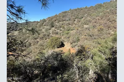 22550 S Gladiator Mine Road #-, Crown King, AZ 86343 - Photo 5