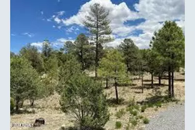 3372 Whisper Lane #153, Heber, AZ 85928 - Photo 1