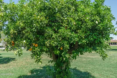 14835 N Boswell Boulevard, Sun City, AZ 85351 - Photo 39