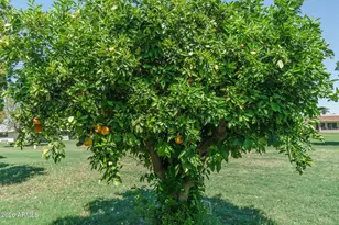 14835 N Boswell Blvd, Sun City, AZ 85351 - Photo 39