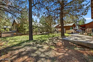 2690 Palomino Trail, Overgaard, AZ 85933 - Photo 25