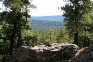 3378 Windy Ln, Heber, AZ 85928 - Photo 1