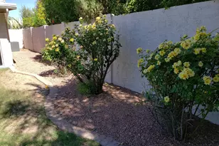 20222 N 61st Ave, Glendale, AZ 85308 - Photo 37