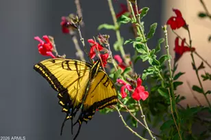 565 Whistle Stop Rd, Clarkdale, AZ 86324 - Photo 3