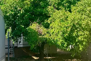 5601 W Missouri Ave, Glendale, AZ 85301 - Photo 5