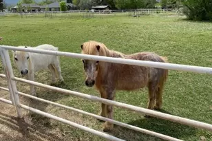 1150 S Rio Verde Ln, Camp Verde, AZ 86322 - Photo 43