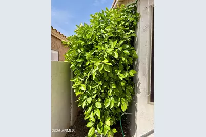 17913 N Fiesta Drive, Surprise, AZ 85374 - Photo 27