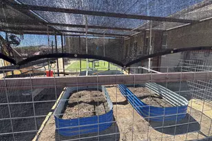 34841 N 3rd St, Phoenix, AZ 85086 - Photo 31