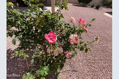 4377 E Coolbrook Avenue, Phoenix, AZ 85032 - Photo 43