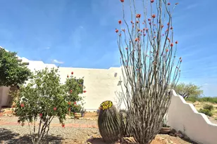 9206 S Rio Santiago, Hereford, AZ 85615 - Photo 3