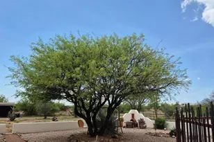 9206 S Rio Santiago, Hereford, AZ 85615 - Photo 5