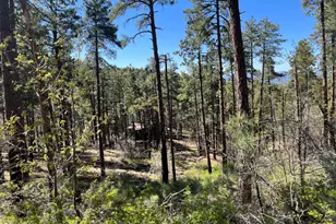 7070 E Wild Flower Rd, Crown King, AZ 86343 - Photo 13