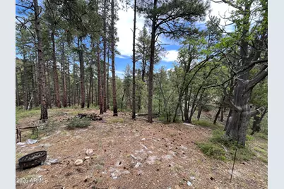 7070 E Wild Flower Road, Crown King, AZ 86343 - Photo 3