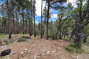 7070 E Wild Flower Rd, Crown King, AZ 86343 - Photo 3