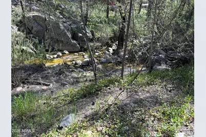 23619 S Gladiator Mine Road, Crown King, AZ 86343 - Photo 3