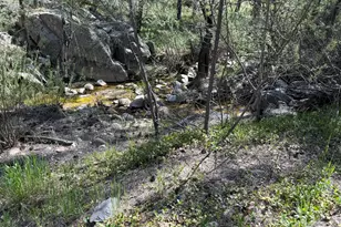 23619 S Gladiator Mine Rd, Crown King, AZ 86343 - Photo 3