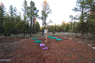 9244 Misty Mountain Ln, Lakeside, AZ 85929 - Photo 31