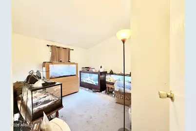 9518 E Joy Avenue, Hereford, AZ 85615 - Photo 27